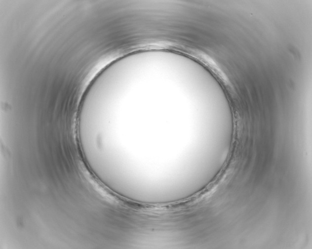 X0000090961186200708021115