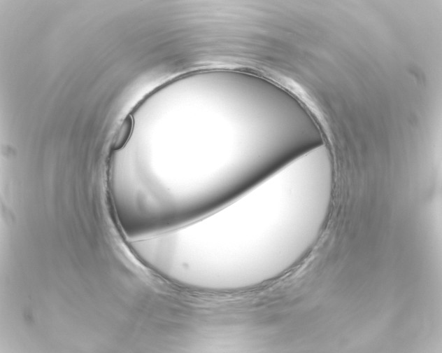 X0000090961187200708021115