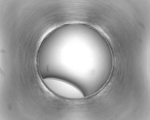X0000090961189200708021115