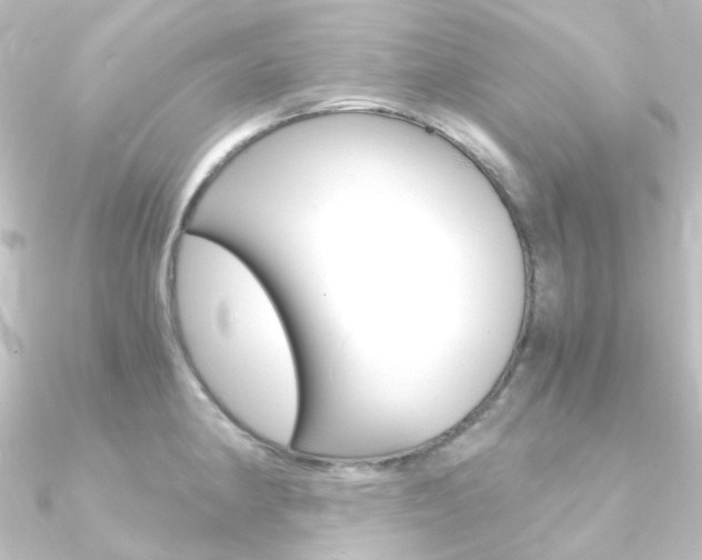 X0000090961190200708021115