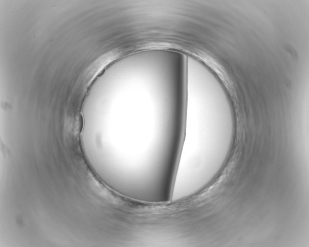 X0000090961193200708021115