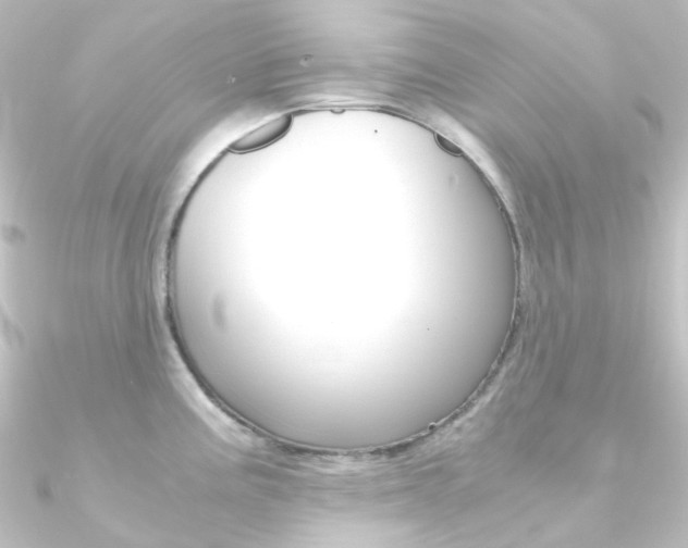 X0000090961195200708021115