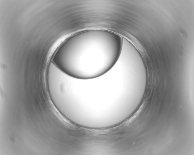 X0000090961196200708021115