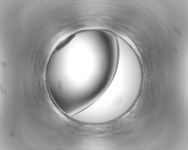 X0000090961197200708021115