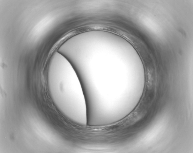 X0000090961198200708021115