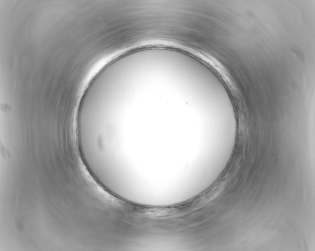 X0000090961199200708021115