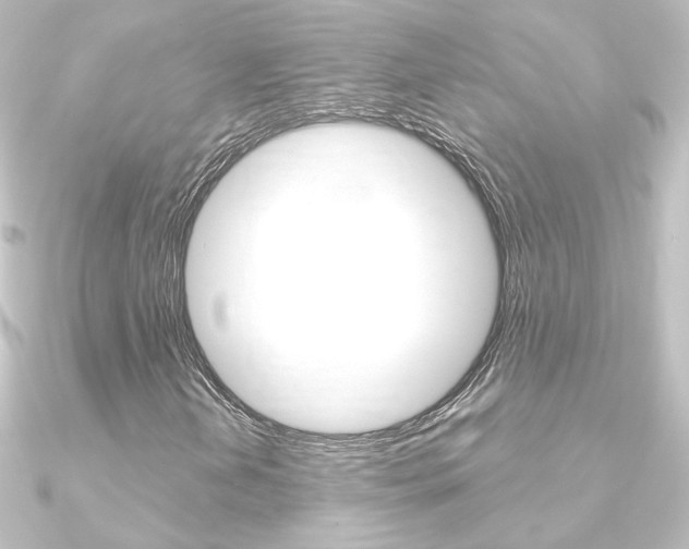 X0000090961202200708021115