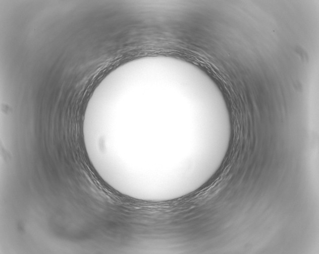 X0000090961204200708021115