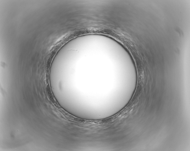 X0000090961205200708021115