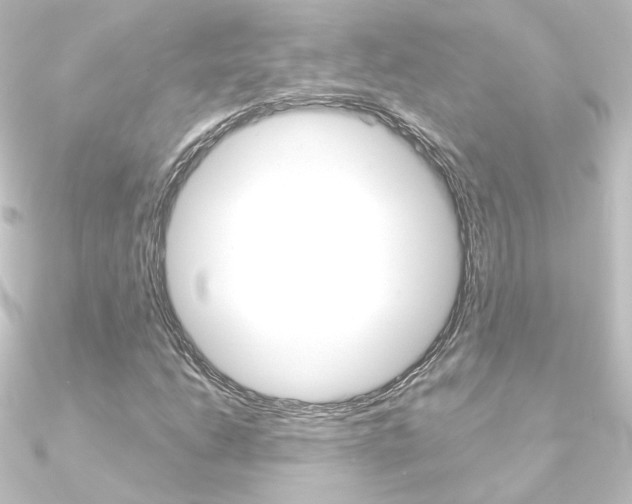 X0000090961206200708021115
