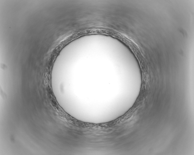 X0000090961207200708021115