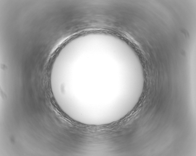 X0000090961208200708021115