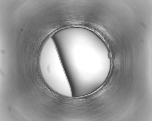 X0000090961209200708021115