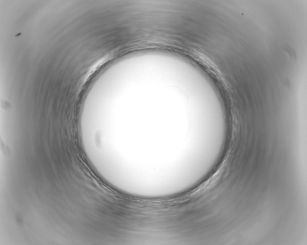 X0000090961210200708021115