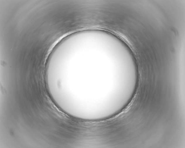 X0000090961212200708021115