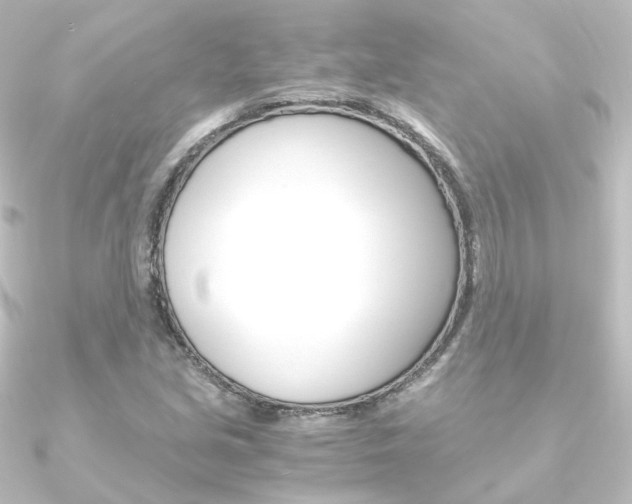 X0000090961213200708021115