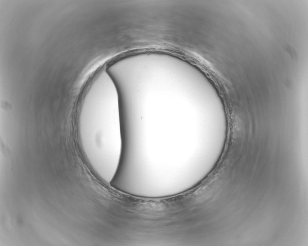 X0000090961215200708021115