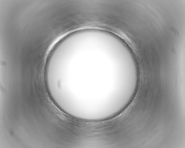 X0000090961216200708021115