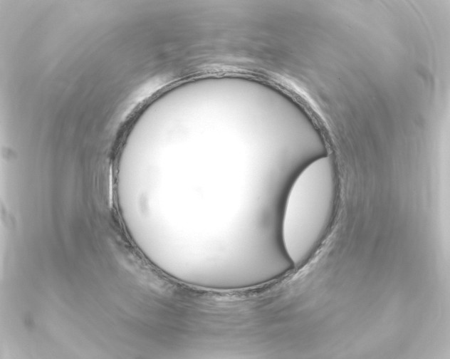 X0000090961219200708021115