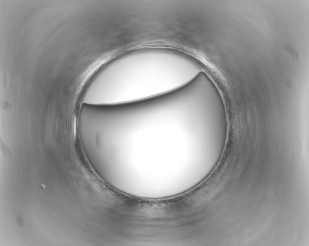 X0000090961221200708021115