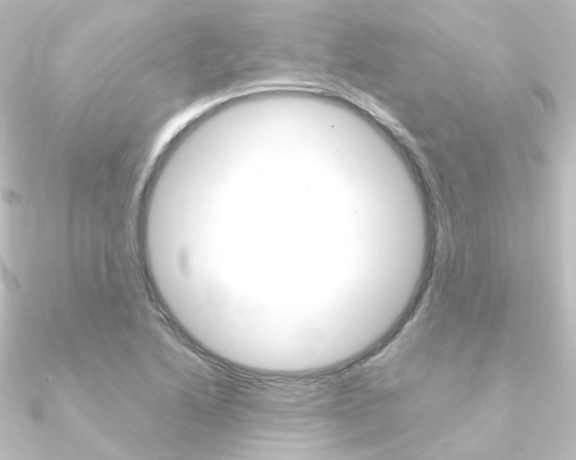 X0000090961222200708021115