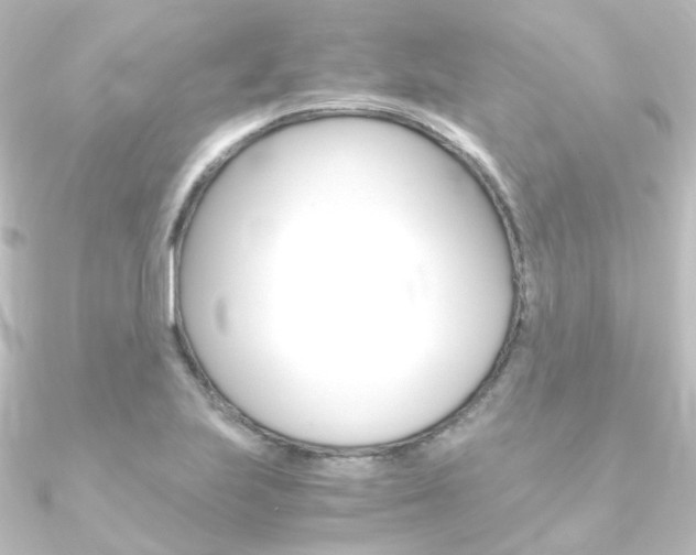 X0000090961223200708021115