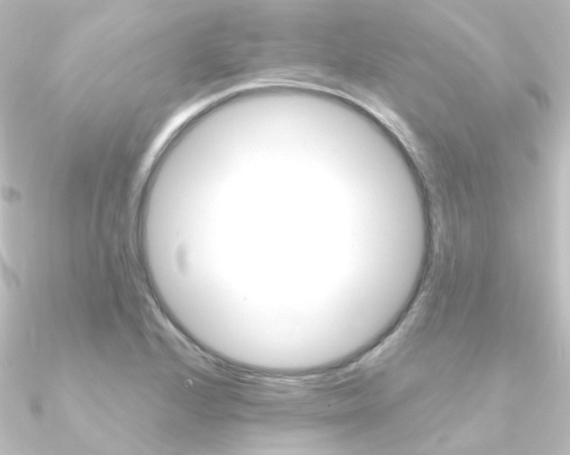 X0000090961224200708021115