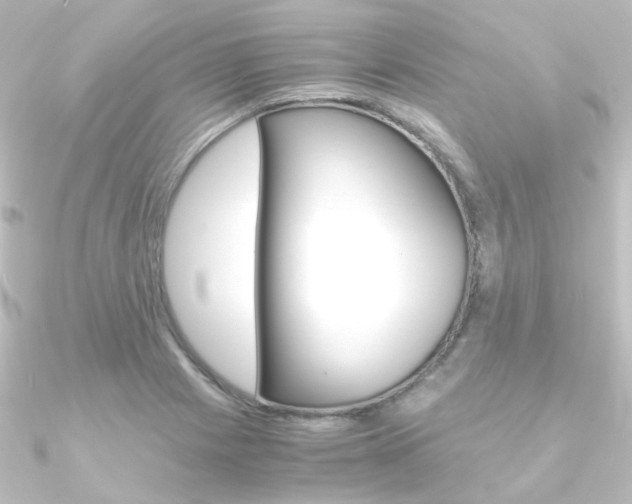 X0000090961225200708021115