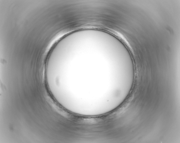 X0000090961227200708021115