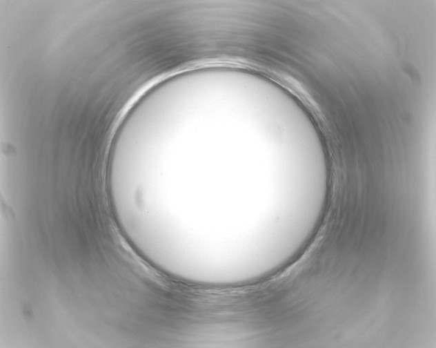 X0000090961228200708021115