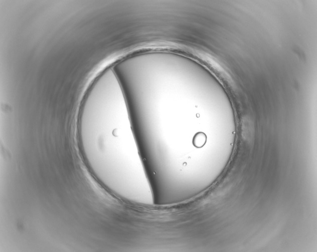 X0000090961229200708021115