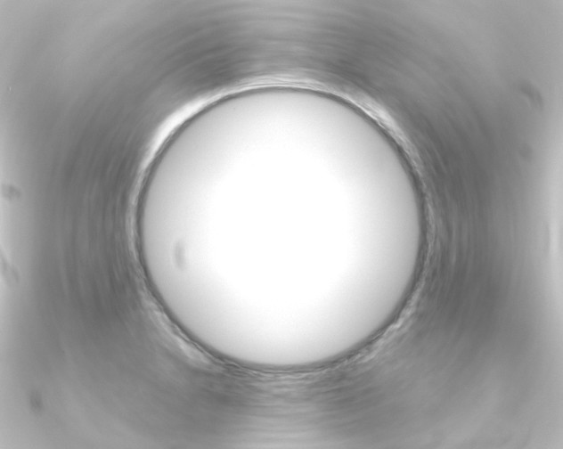 X0000090961230200708021115