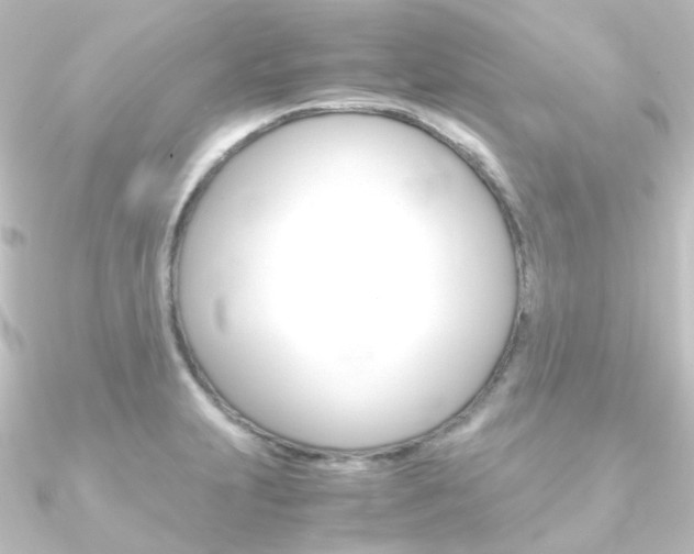 X0000090961231200708021115