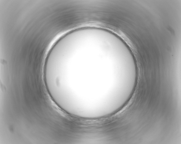 X0000090961232200708021115