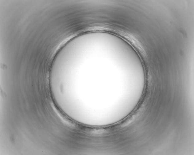 X0000090961233200708021115