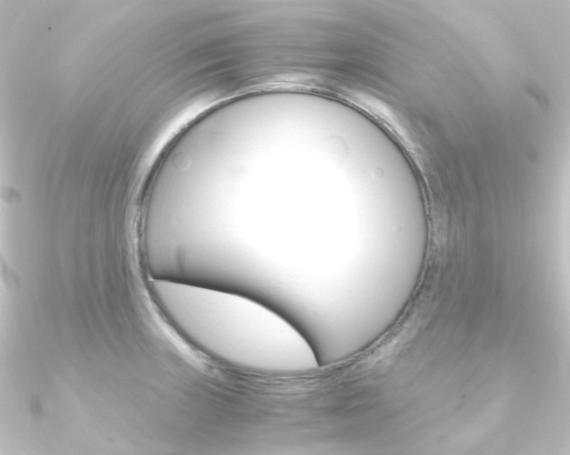 X0000090961235200708021115