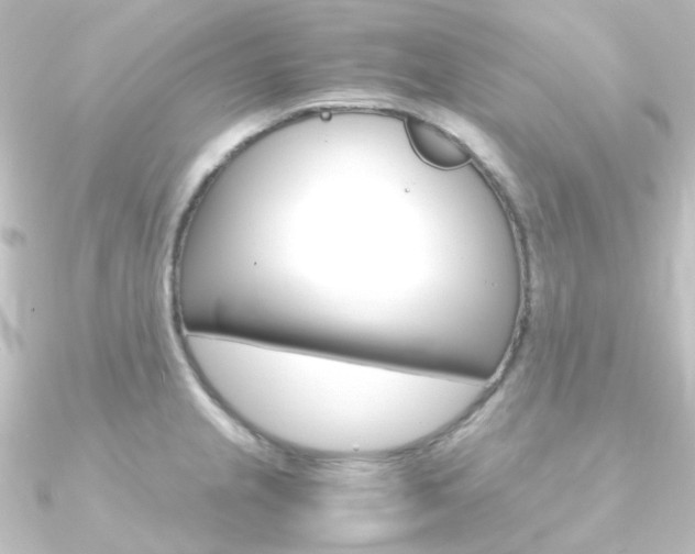 X0000090961237200708021115