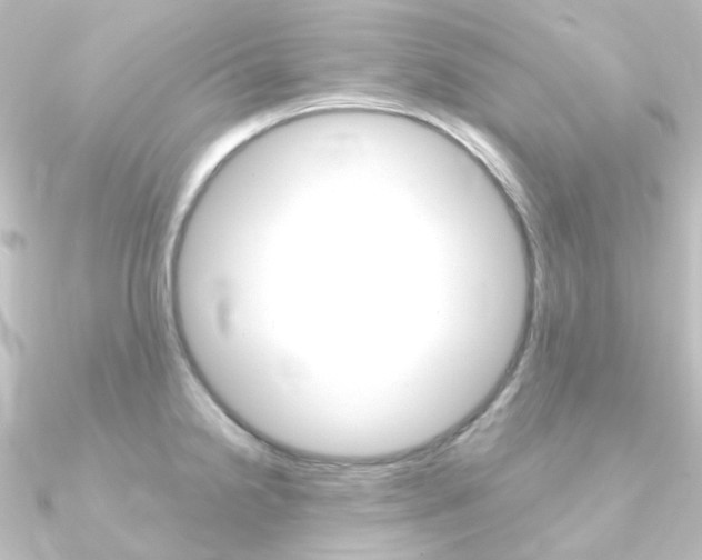 X0000090961238200708021115