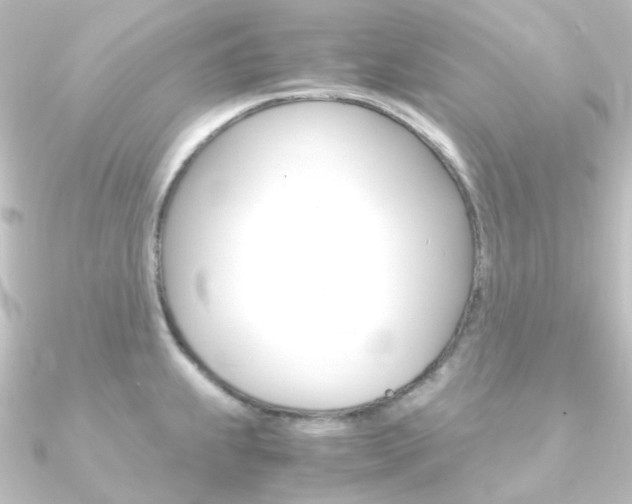 X0000090961239200708021115