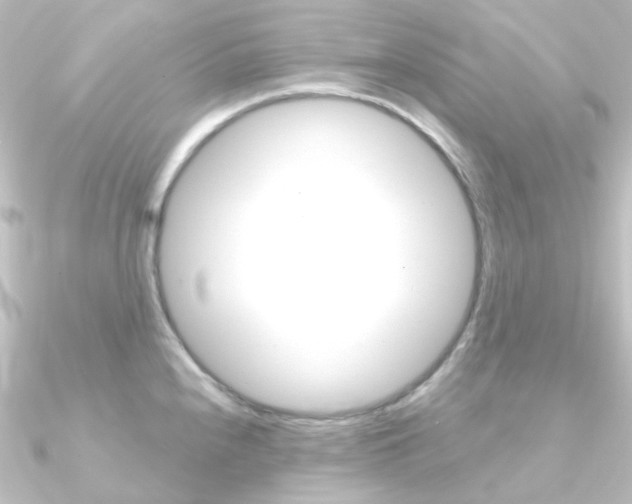 X0000090961240200708021115