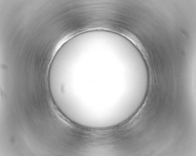 X0000090961242200708021115