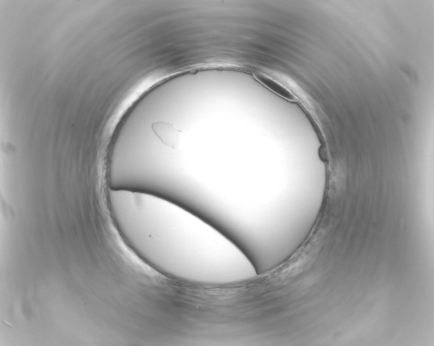 X0000090961243200708021115