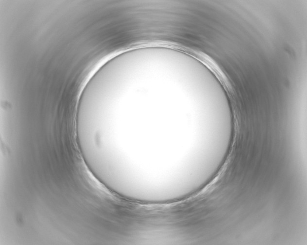 X0000090961244200708021115