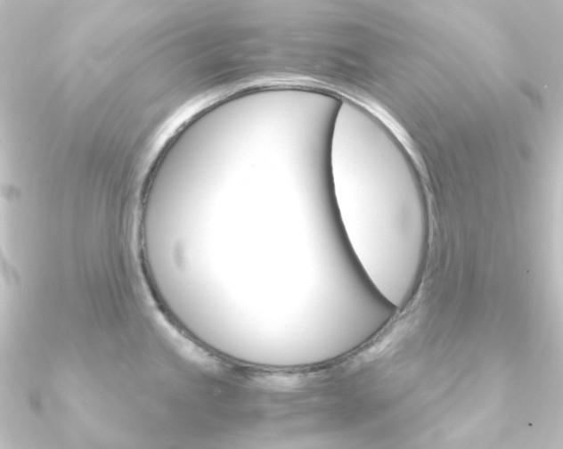 X0000090961245200708021115