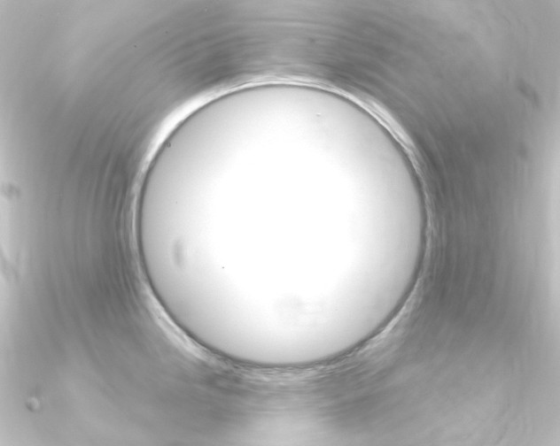 X0000090961246200708021115