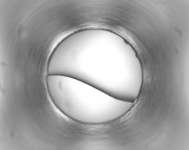 X0000090961247200708021115