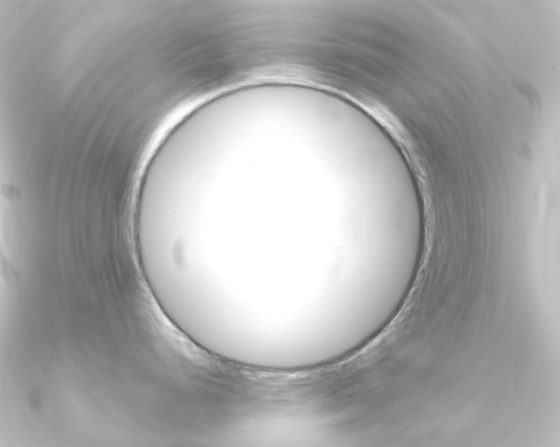 X0000090961248200708021115