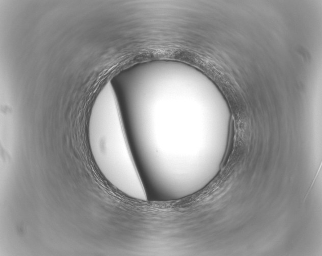 X0000090961249200708021114