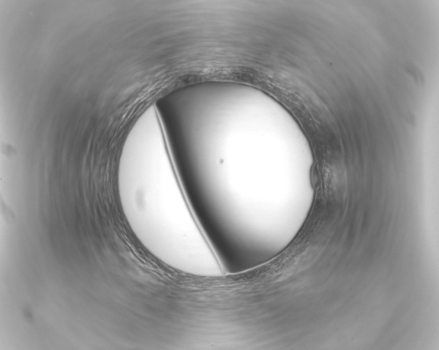 X0000090961250200708021114