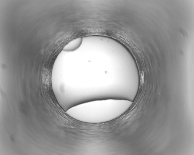 X0000090961251200708021114